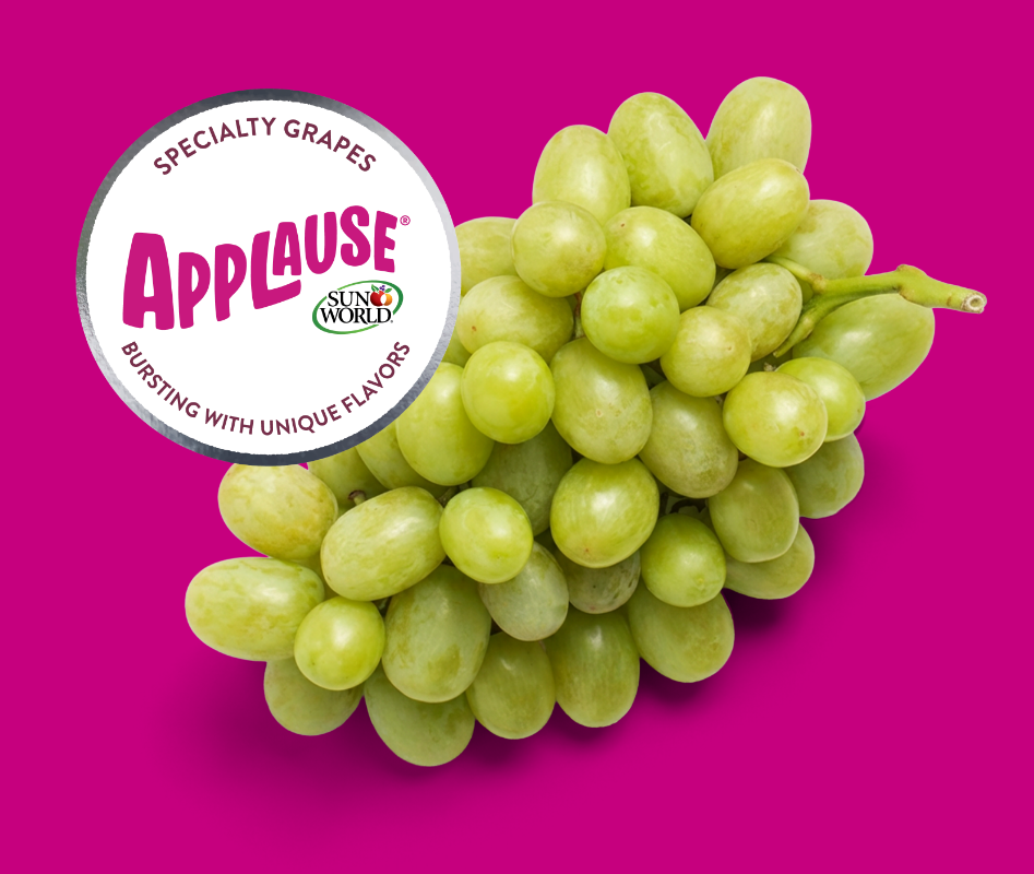 APPLAUSE® Brands Page 04