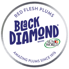 BlackDiamond Brand-Seal-RGB