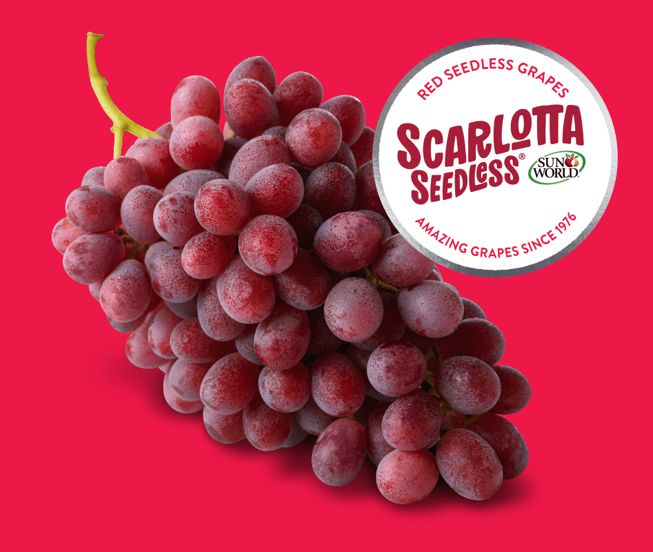 SW_Grapes_ScarlottaSeedless_01-min